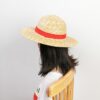 One Piece Straw Hat Luffy: Authentic Weaved Cosplay Hat Cosplay 22