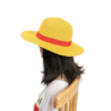 One Piece Straw Hat Luffy: Authentic Weaved Cosplay Hat Cosplay 21