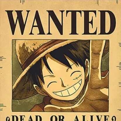 one piece wanted poster