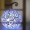 Devil Fruit Lamp: One Piece 3D Puzzle Night Light Figures 13